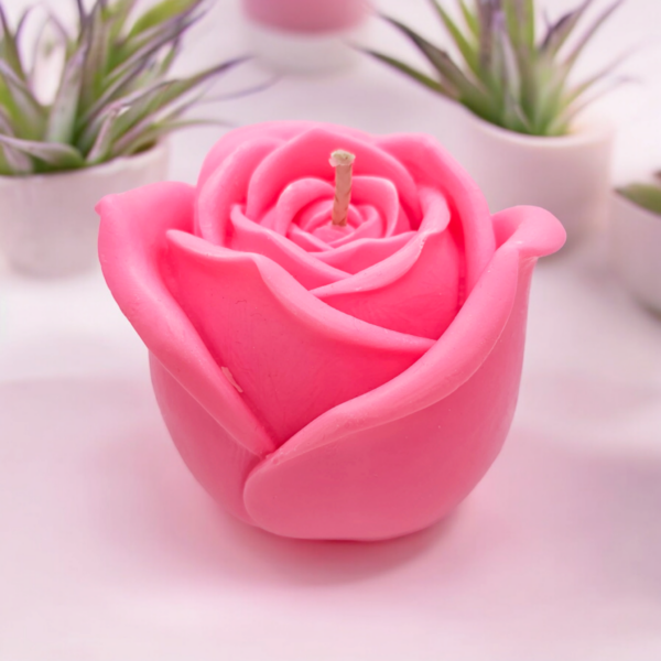 Rose L – Image 2