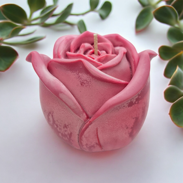 Rose L – Image 3