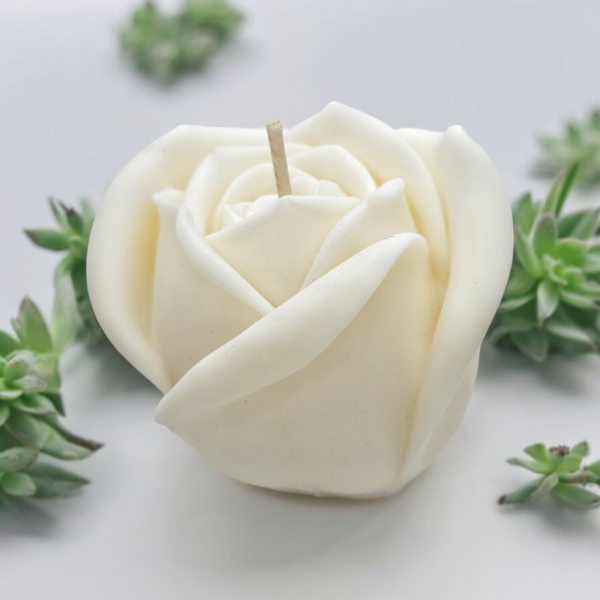 Rose M