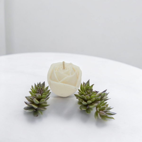 Rose S – Image 2