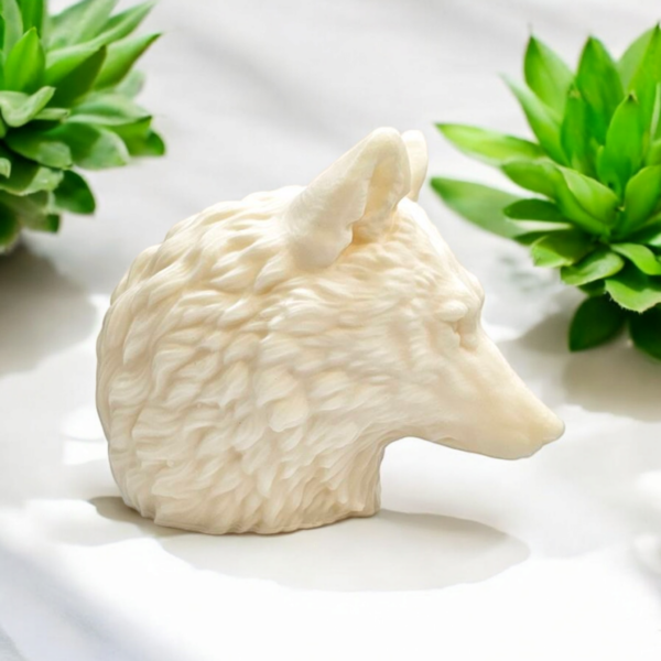 Loup – Image 3